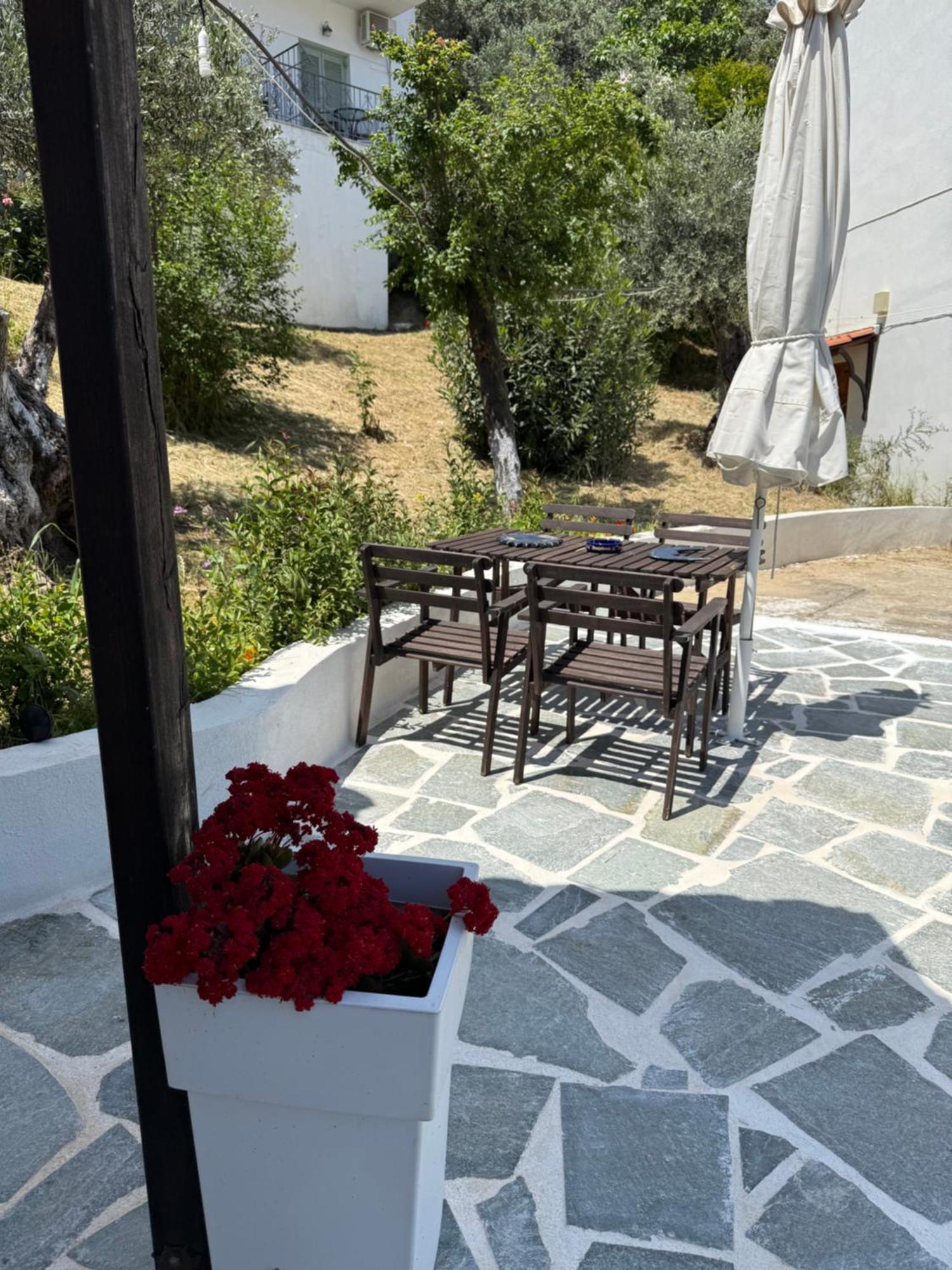 Skiathos Country Studios Exterior photo